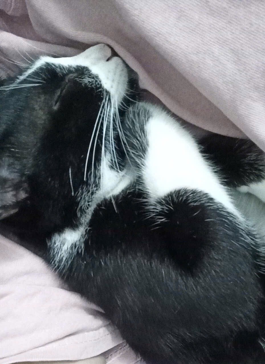 minni